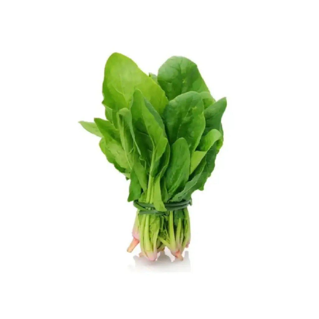 [SEED10] Espinacas