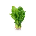 Espinacas