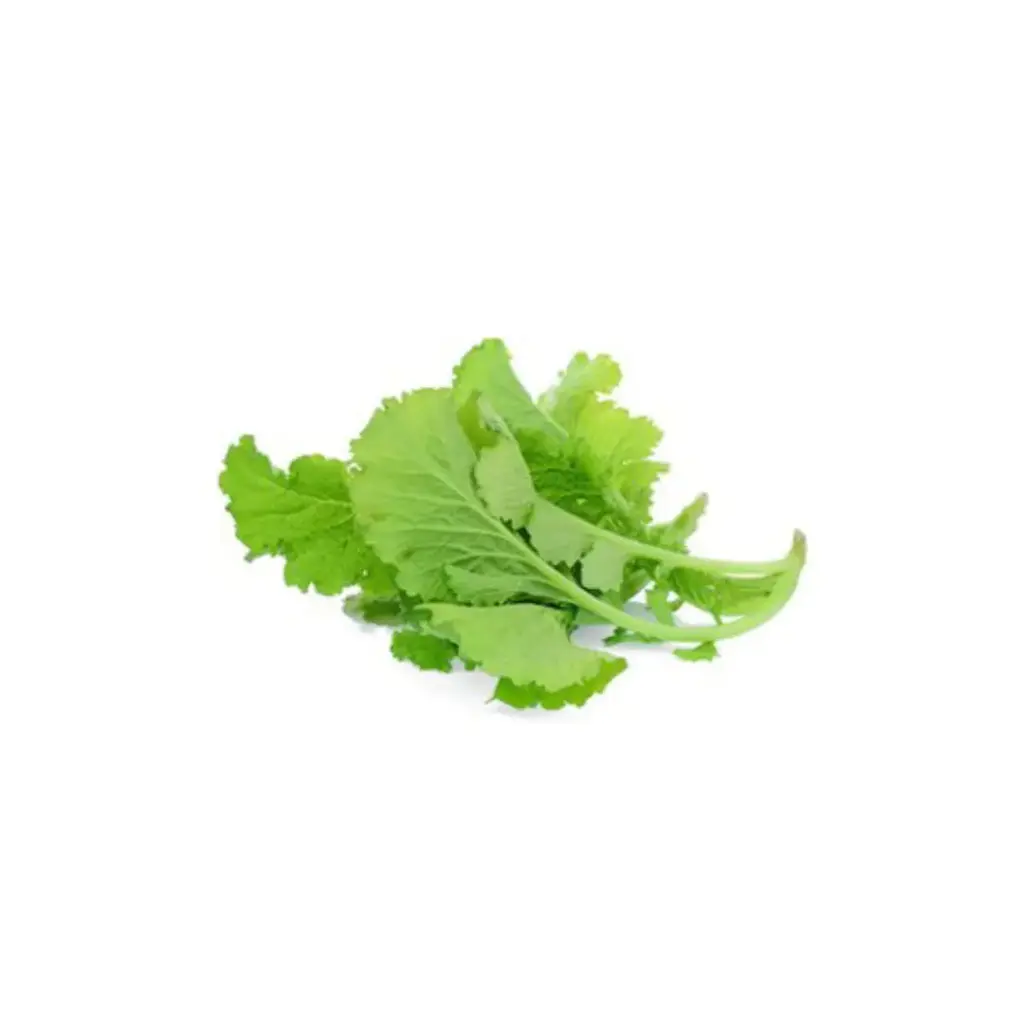 [SEED17] Mustard