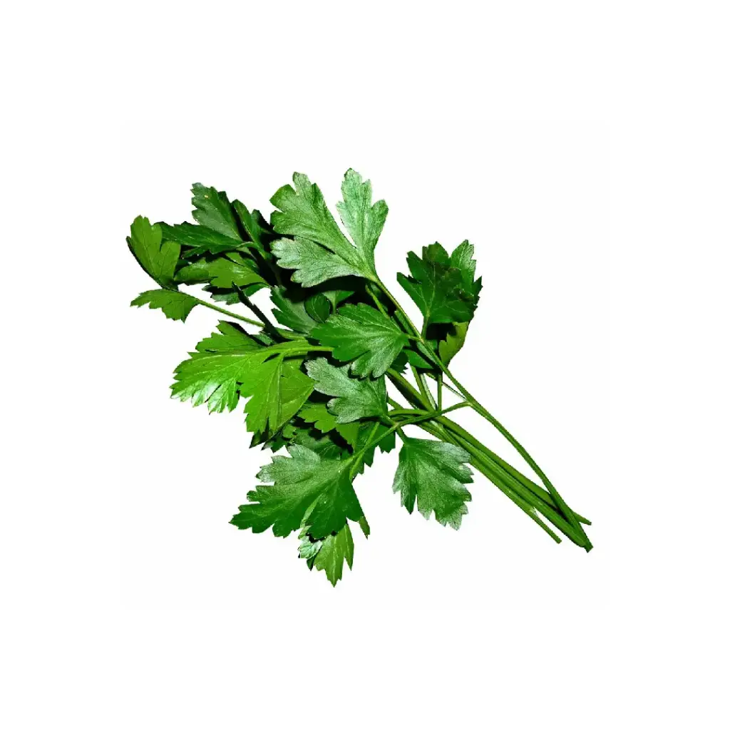 [SEED18] Salsa