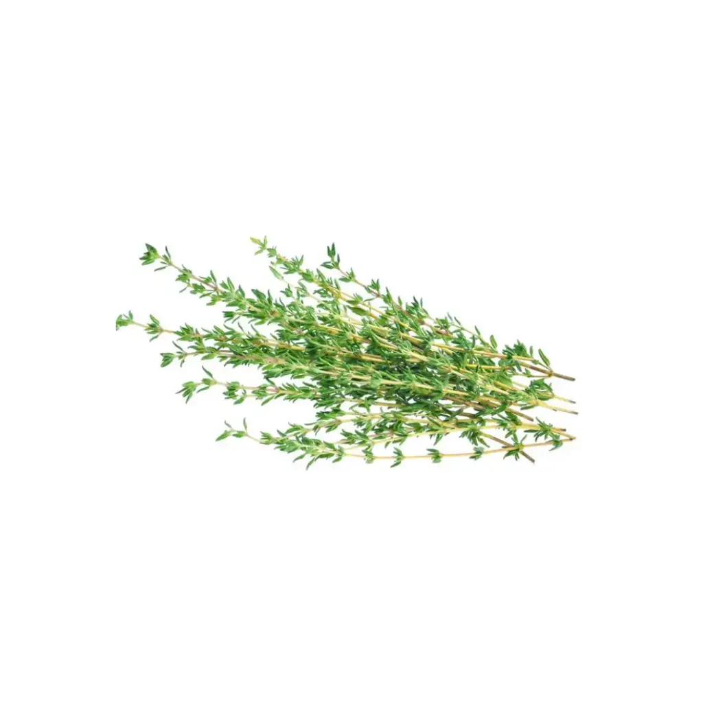[SEED20] Tomilho