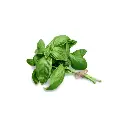 Basil (copy)