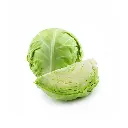 Cabbage (copy)