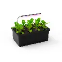 Hydroponic Indoor Greenhouse Cloner L11 – LED Propagation Station With Light and Nutrients (copy)