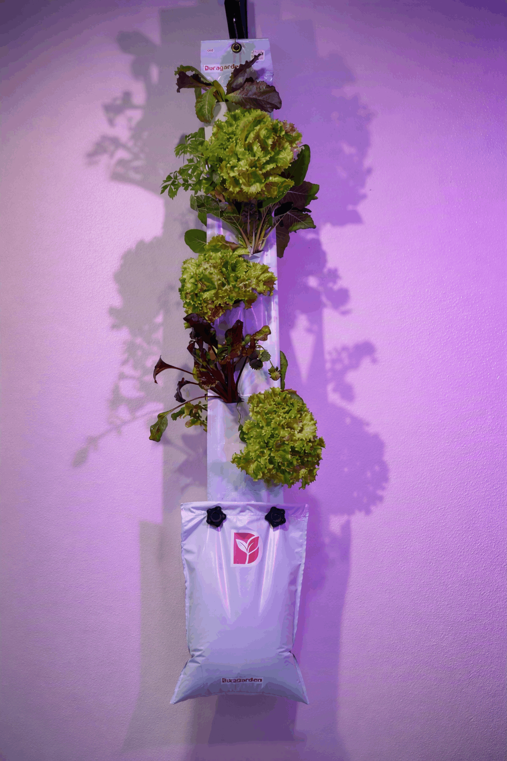 Dura One home hydroponic system